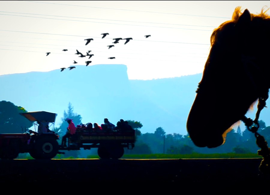 Golden hour rural cinematography